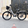 Xe-dap-dien-tro-luc-Phoenix-C1-05