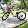 Xe-dap-dien-tro-luc-Phoenix-C1-10