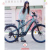Xe-dap-tro-luc-Phoenix-M18-vanh-tam-02
