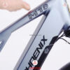 Xe-dap-tro-luc-Phoenix-M18-vanh-tam-14